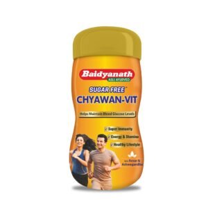 Baidyanath Sugarfree Chyawan Vit