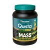 Himalaya Quista PRO MASS (Chocolate) 1kg – Pack of 1