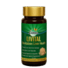 Zandu Livital Liver Detox Tablet | 100% Ayurvedic with Kalmegh, Guduchi & Bhringaraj (Pack of 90 Tablets)
