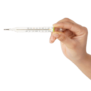 Hicks Oval Thermometer | Easy-to-Read Mercury Thermometer | Oval Design for Clear Visibility (Pack of 1)