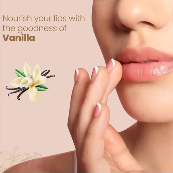 Himalaya Natural Soft Vanilla Lip Care 4.5g (Pack of 1) - Image 2