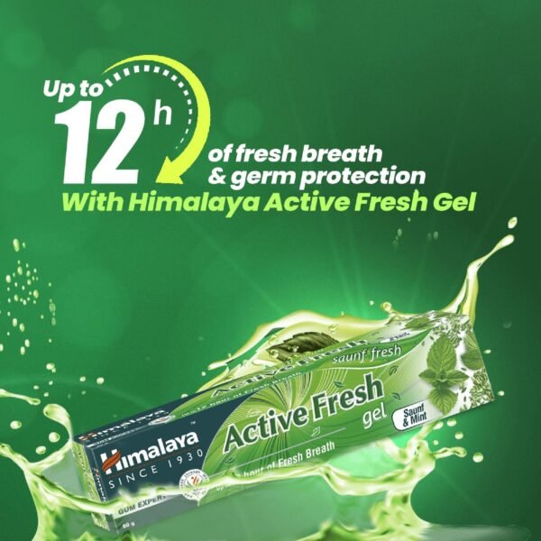 Himalaya Active Fresh Gel Toothpaste 80g (Pack of 1) - Image 2