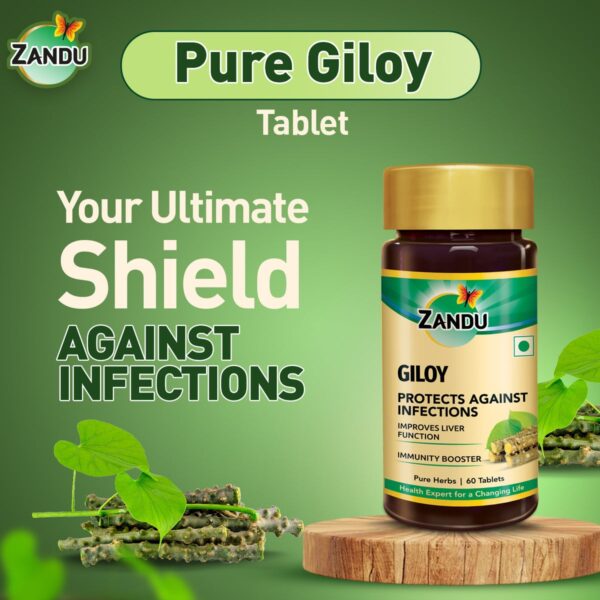 Zandu Giloy Tablets (Pack of 60) - Image 7