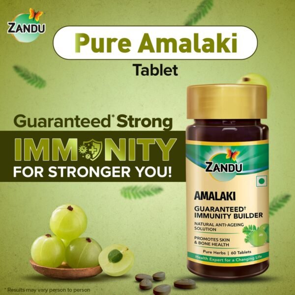 Zandu Amalaki (Amla) Tablets - Pack of 1, 60 Tabs) - Image 7