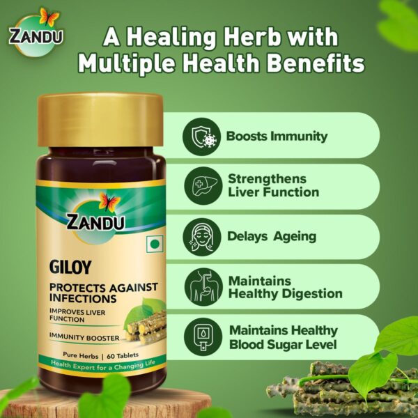 Zandu Giloy Tablets (Pack of 60) - Image 6