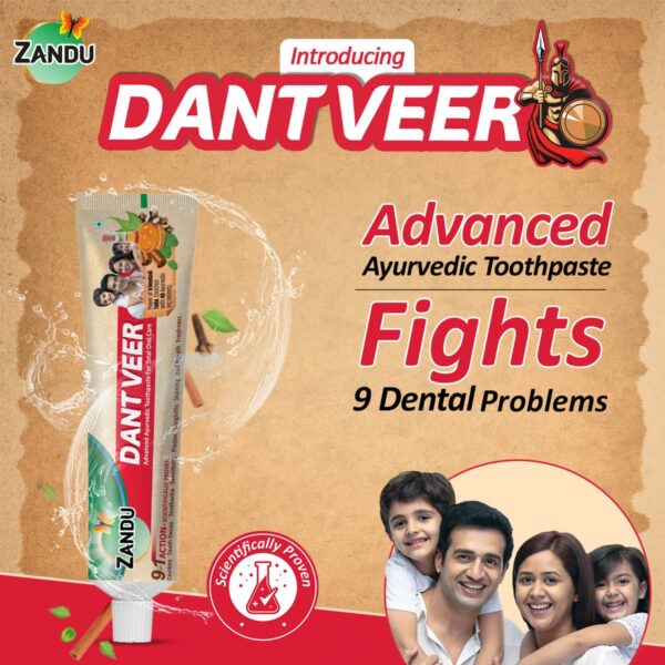 Zandu Dantveer Ayurvedic Toothpaste | Fights 9 Oral Problems | 100% Ayurvedic with Irimedadi Taila & 40 Herbs - Image 12