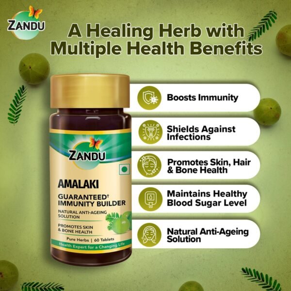 Zandu Amalaki (Amla) Tablets - Pack of 1, 60 Tabs) - Image 6
