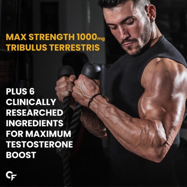 Carbamide Forte Testosterone Supplement Capsules for Men with Tribulus 1000mg – Pack of 60 Veg Tablets - Image 6