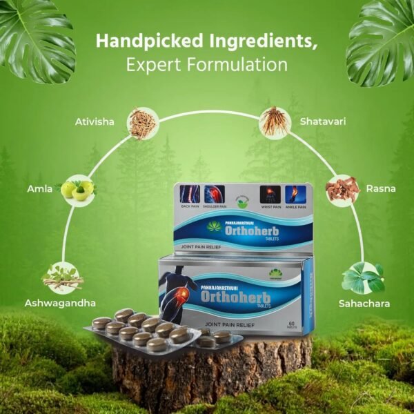 Orthoherb Tablet – 60 Tablets (Pack of 1) - Image 4