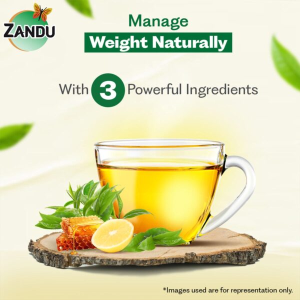 Zandu Lemon & Honey Green Tea | 100% Ayurvedic Blend with Natural Flavours | (Pack of 25 Tea Bags) - Image 9
