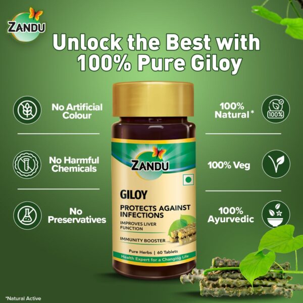 Zandu Giloy Tablets (Pack of 60) - Image 5
