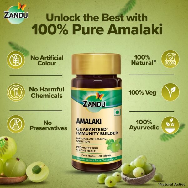 Zandu Amalaki (Amla) Tablets - Pack of 1, 60 Tabs) - Image 5