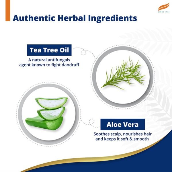 Himalaya Anti-Dandruff Tea Tree Shampoo - Image 4