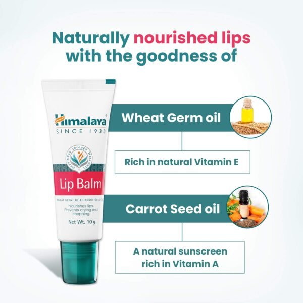 Himalaya Lip Balm - Image 4