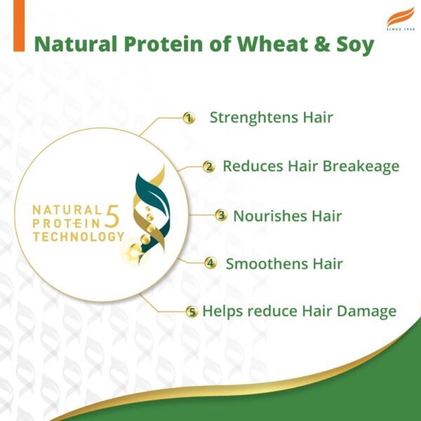Himalaya Gentle Daily Care Natural Protein Shampoo - Image 5