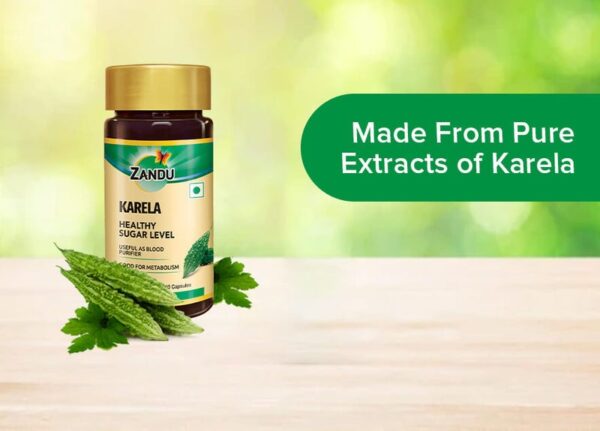 Zandu Karela Capsules for Blood Sugar Control & Blood Purification (Pack of 60 Capsules) - Image 3