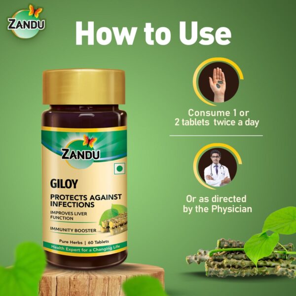 Zandu Giloy Tablets (Pack of 60) - Image 4