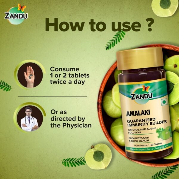 Zandu Amalaki (Amla) Tablets - Pack of 1, 60 Tabs) - Image 4