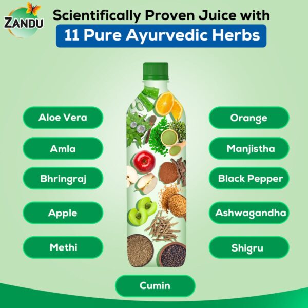 Zandu Hair Vitalizer Juice | Scientifically Proven for Natural Hair Growth & Strengthening (1 Litre) - Image 5
