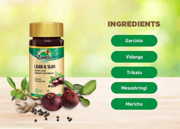 Zandu Lean & Slim Capsules (Pack of 60 Capsules) - Image 3