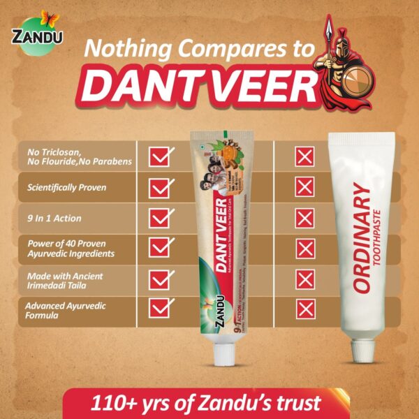 Zandu Dantveer Ayurvedic Toothpaste | Fights 9 Oral Problems | 100% Ayurvedic with Irimedadi Taila & 40 Herbs - Image 8