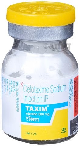 Taxim 500mg Injection - Image 4