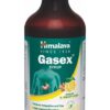 GASEX SYP 200ML