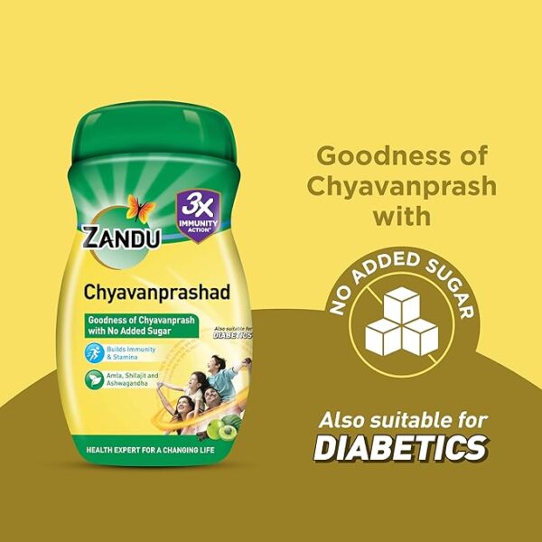 Zandu Sugar Free Chyavanprashad, 450 gm - Image 3
