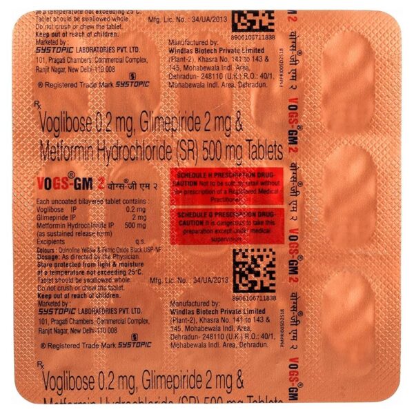 Vogs-GM 2 Tablet SR - Image 4