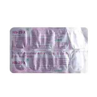 HB 29 X Tablet