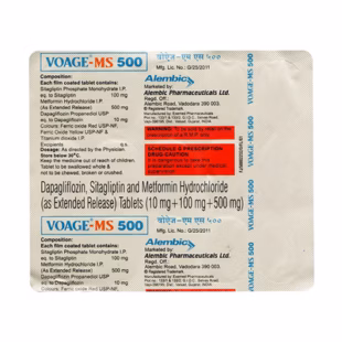 Voage-MS 500 Tablet ER