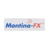 Montina FX 10mg/120mg Tablet