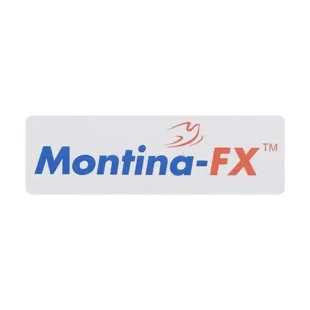 Montina FX 10mg/120mg Tablet