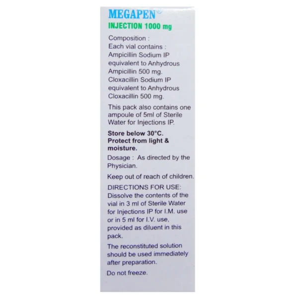 Megapen 1 gm Injection - Image 2
