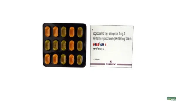 Vogs-GM 1 Tablet SR - Image 4
