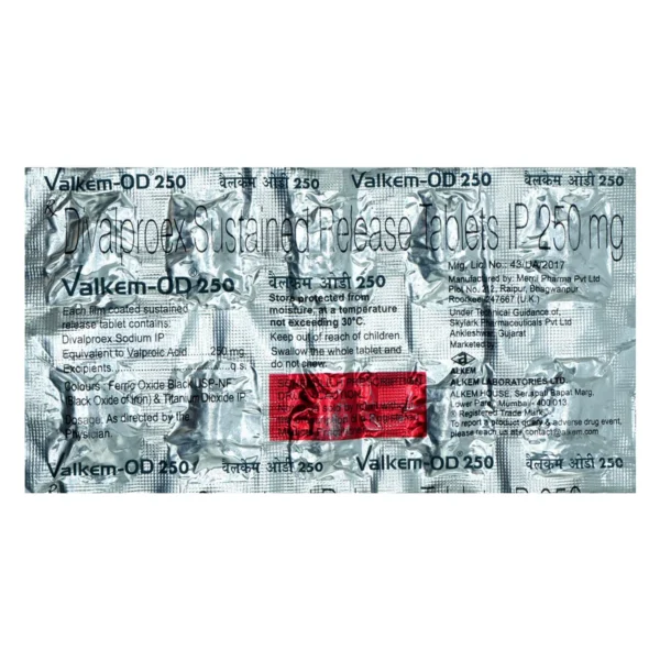 Valkem-OD 250 Tablet SR - Image 4
