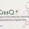 Ciss Q Plus Tablet