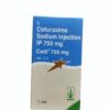 Cetil 750mg Injection