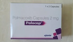 Palocap 2mg Capsule
