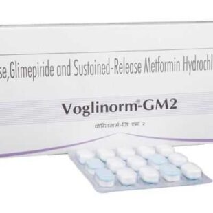 Voglinorm-GM2 Tablet SR