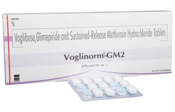Voglinorm-GM2 Tablet SR