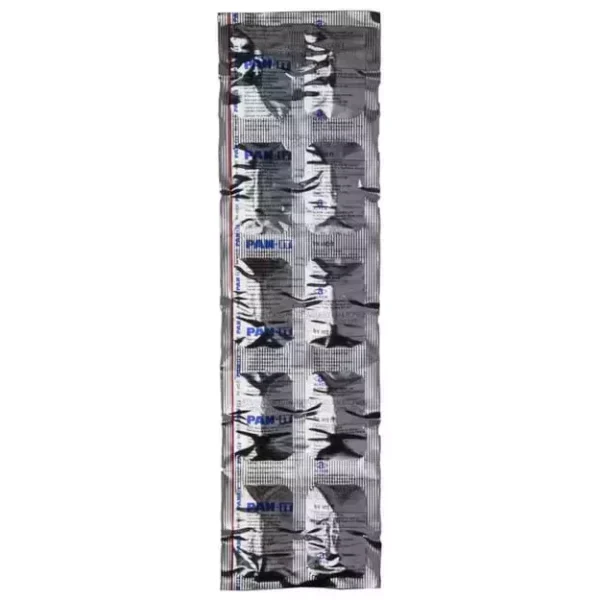 Pan-IT Capsule SR - Image 2