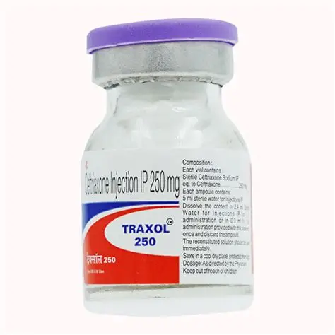 Traxol 250mg Injection - Image 2
