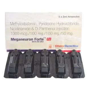 Meganeuron Injection