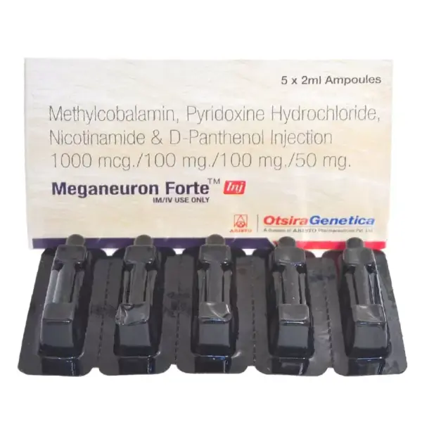 Meganeuron Injection