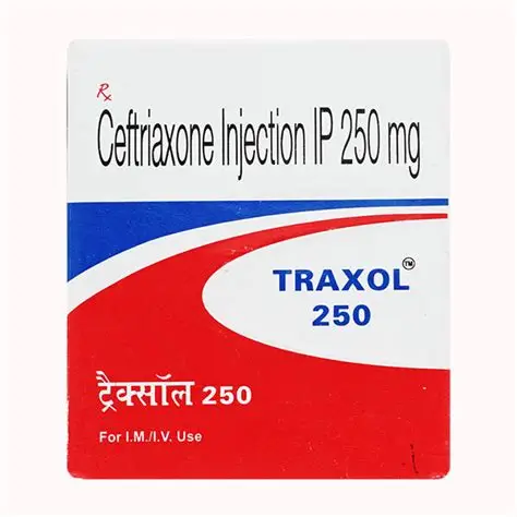 Traxol 250mg Injection