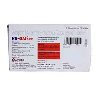 Vil-GM 500 Tablet'1*10 - Image 2