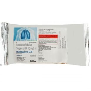 Budaways 0.5 mg Respule 2ml 1*1