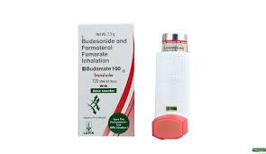 Budamate 100 Inhelar 1*17gm