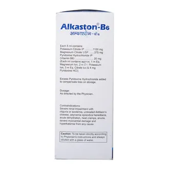 Alkaston-B6 Oral Solution 1*250ml - Image 2